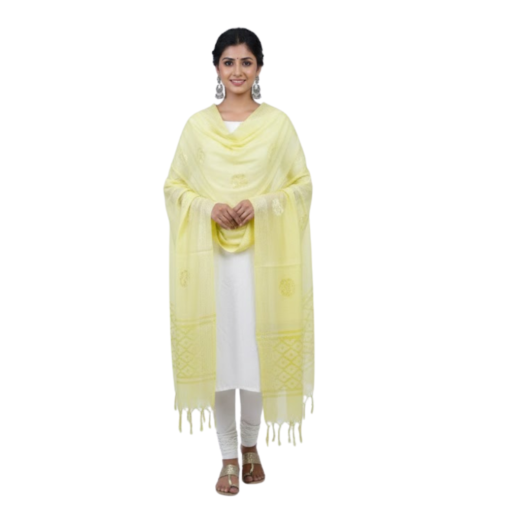 Dupatta 10