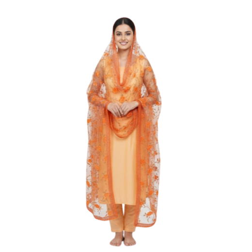 Dupatta 28