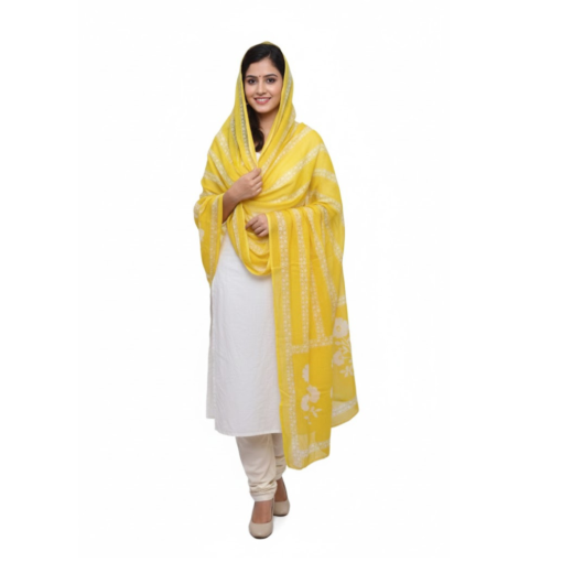 Dupatta 29