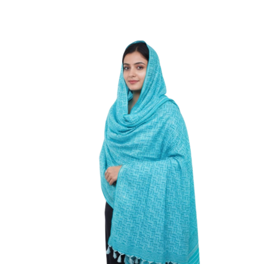 Dupatta 30