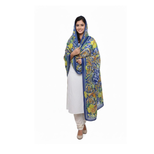 Dupatta 31