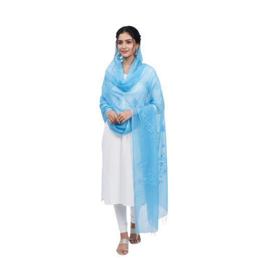 Dupatta 6